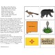 NEW MEXICO State Symbols ADAPTED BOOK for Special Education and Autism